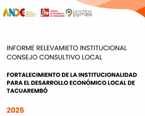 IDIIS – Informe de Relevamiento Institucional Consejo Consultivo Local – Tacuarembó