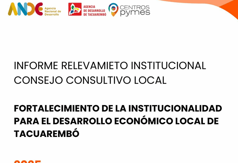 IDIIS – Informe de Relevamiento Institucional Consejo Consultivo Local – Tacuarembó