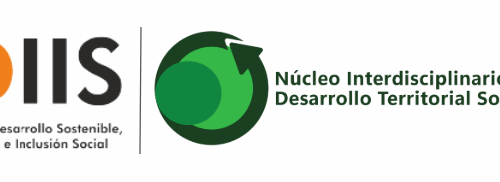 Segundo Seminario Núcleo DTS e IDIIS